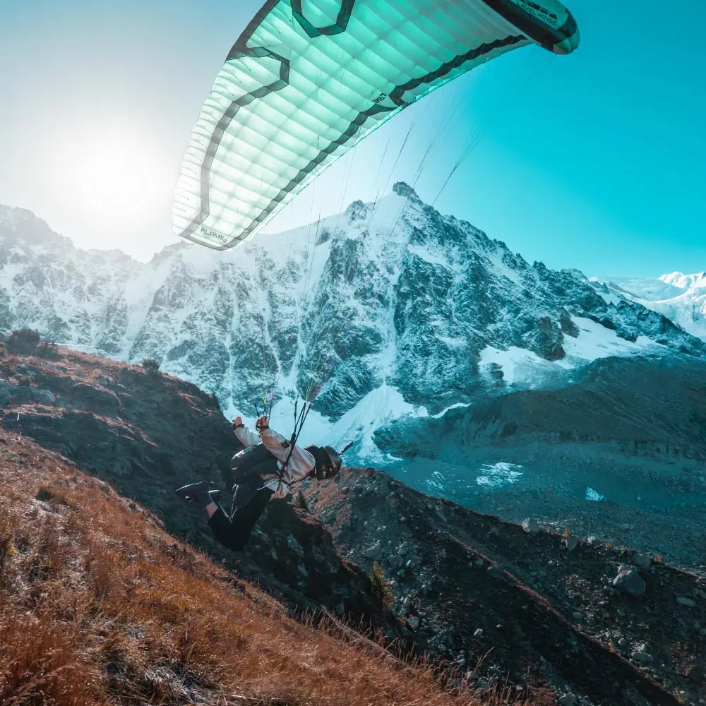 Miniwings - Pic Venture