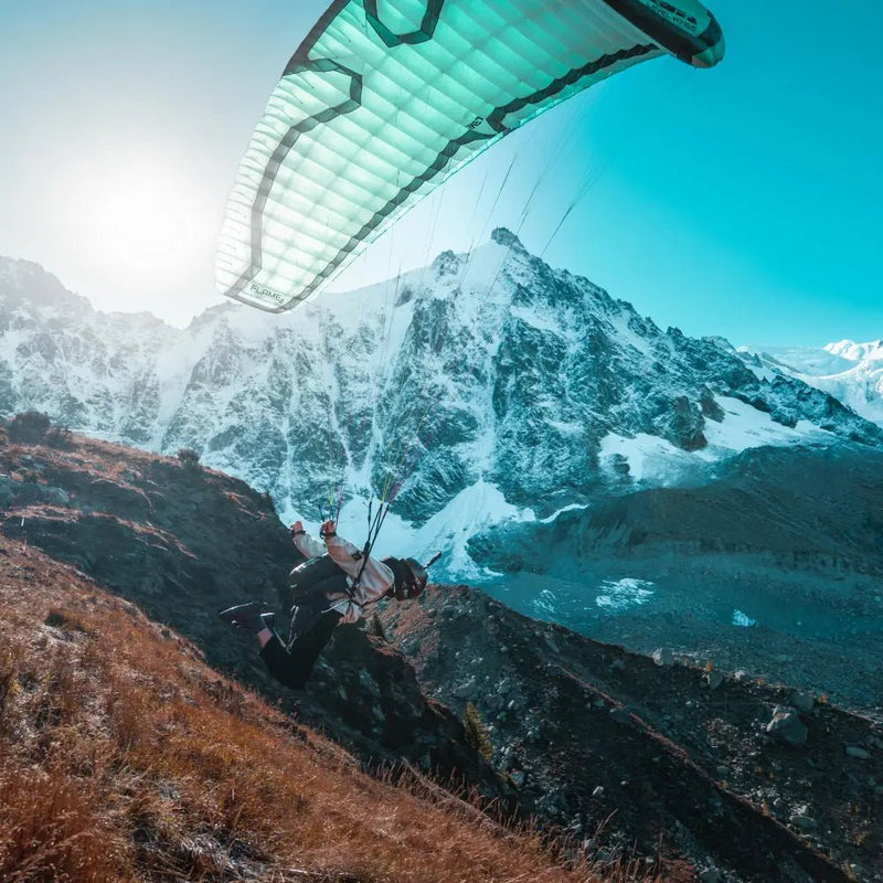 Miniwings - Pic Venture