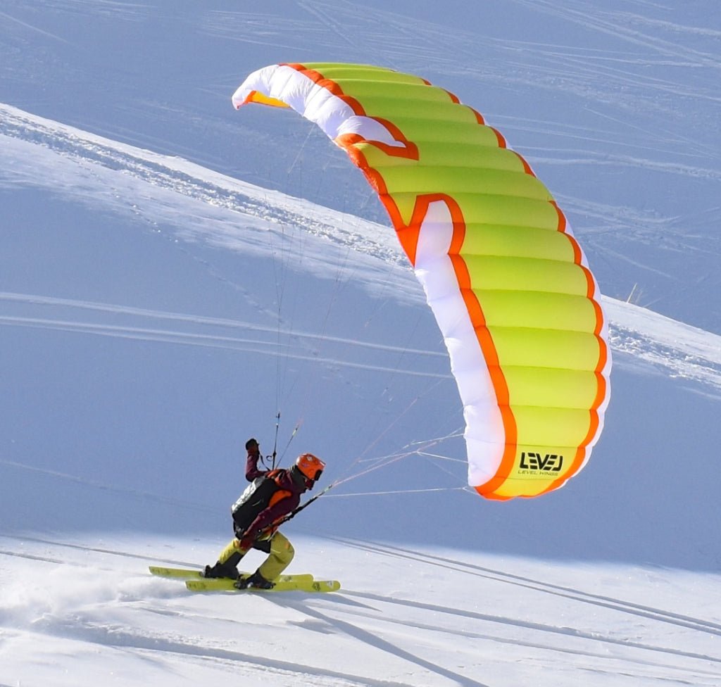 FIZZ2 SpeedWings - Pic Venture
