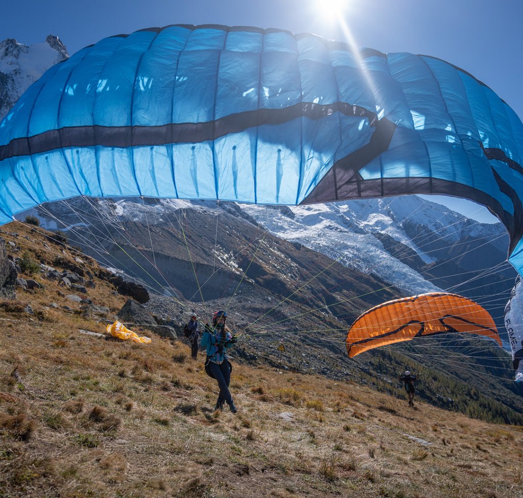 FLAME 2 SpeedWings - Pic Venture