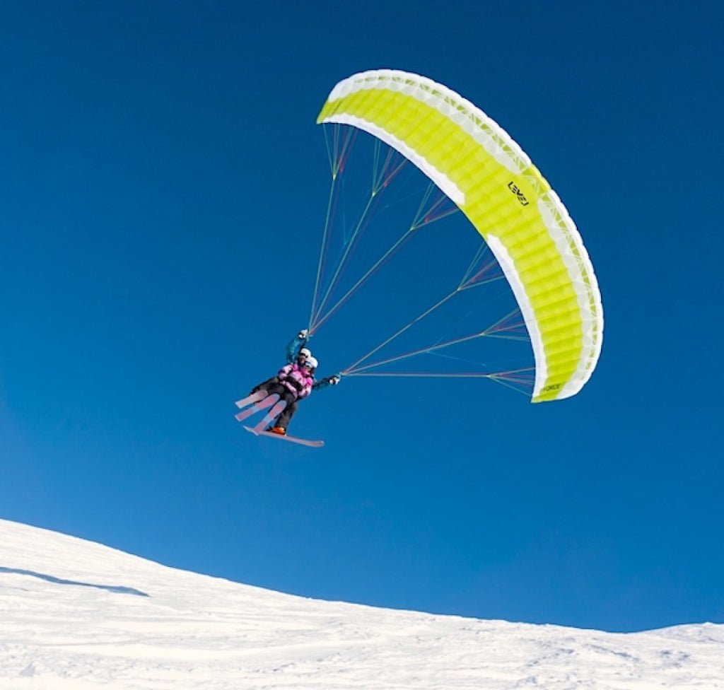 SPEED - FORCE SpeedWings - Pic Venture